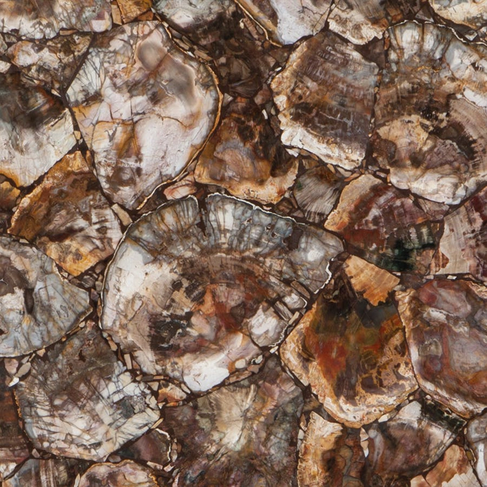 PETRIFIED WOOD ROUND